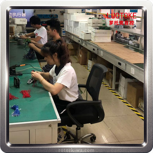 罗托克执行器测试